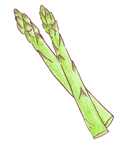 アスパラガスエキス